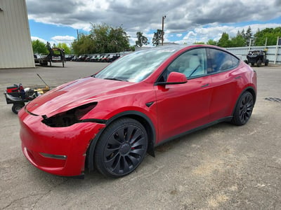 7SAYGDEF9PF****** 2023 Tesla Model Y