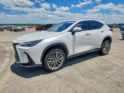 JTJGKCEZ3N5****** 2022 Lexus NX