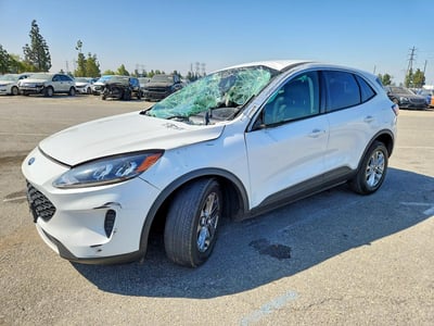 1FMCU0G6XNU****** 2022 Ford Escape