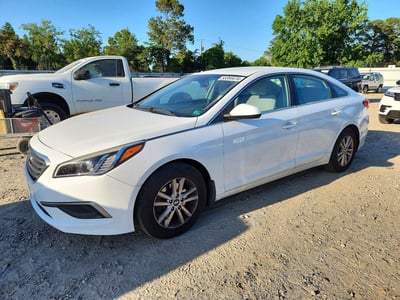 5NPE24AF1HH****** 2017 Hyundai Sonata