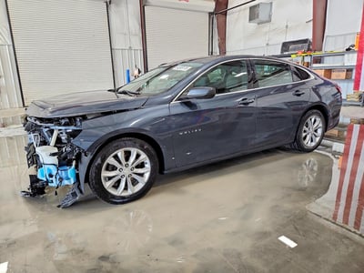 1G1ZD5ST3KF****** 2019 Chevrolet Malibu