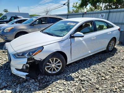 5NPE24AF7KH****** 2019 Hyundai Sonata