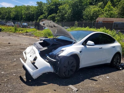 7SAYGAEE4PF****** 2023 Tesla Model Y