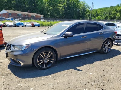 2019 Acura TLX