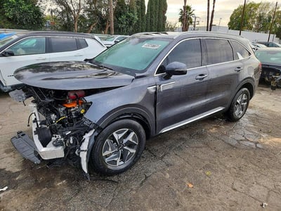 KNDRH4LG9P5****** 2023 Kia Sorento Hybrid