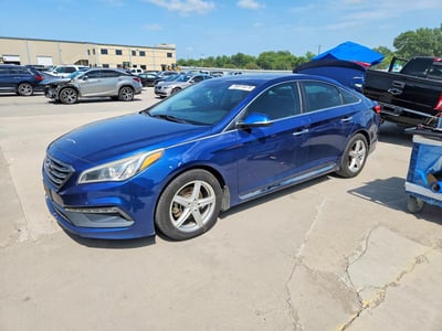 5NPE34AF6GH****** 2016 Hyundai Sonata