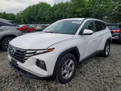 5NMJBCDE7RH****** 2024 Hyundai Tucson