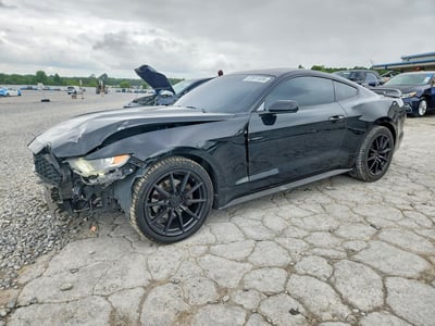 1FA6P8TH4F5****** 2015 Ford Mustang
