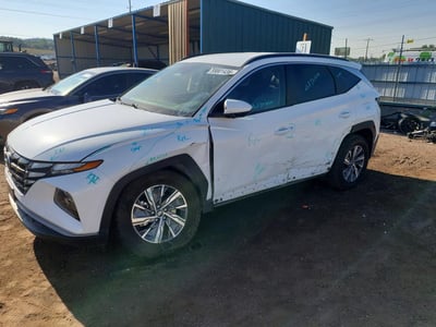 KM8JBCD1XRU****** 2024 Hyundai Tucson