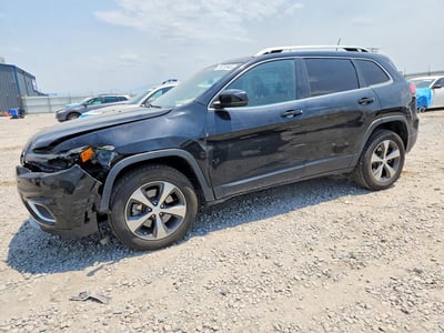 1C4PJMDX2LD****** 2020 Jeep Cherokee