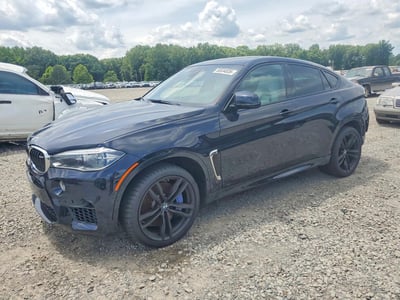 2019 BMW X6