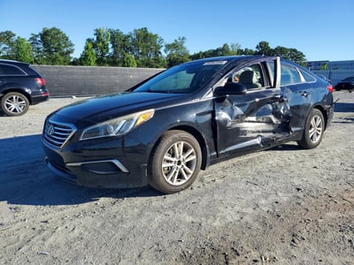 5NPE24AF7GH****** 2016 Hyundai Sonata