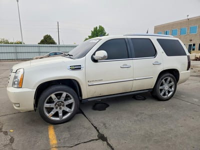 1GYFK43559R****** 2009 Cadillac Escalade