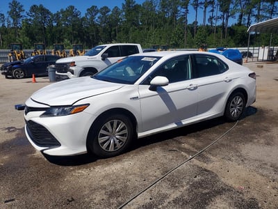 4T1C31AK0LU****** 2020 Toyota Camry Hybrid