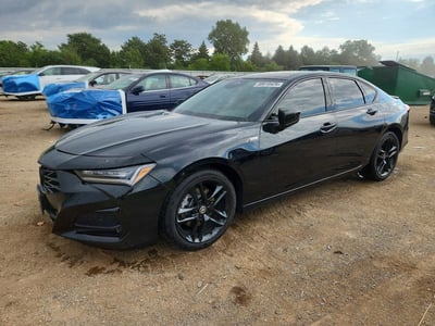 2024 Acura TLX