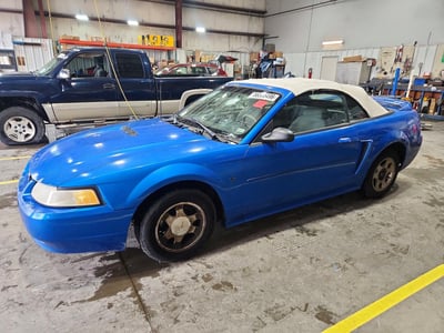 1FAFP4446YF****** 2000 Ford Mustang