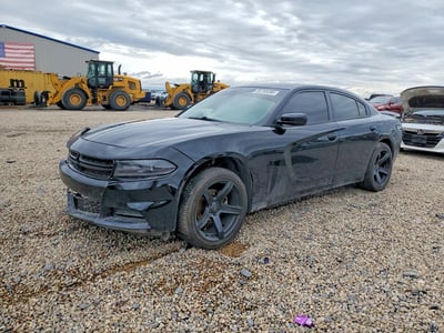 2C3CDXBG8KH****** 2019 Dodge Charger
