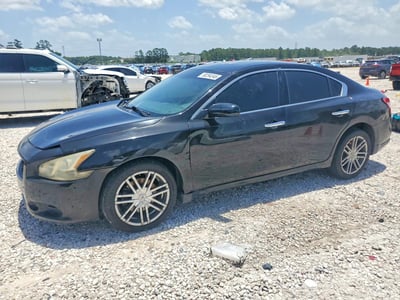1N4AA51E69C****** 2009 Nissan Maxima