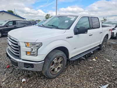 1FTEW1EG7FK****** 2015 Ford F-150