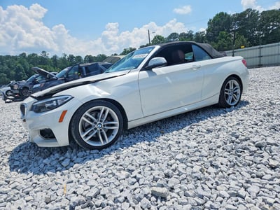 WBA1K9C59GV****** 2016 BMW 2 Series