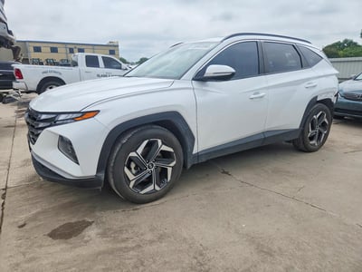 5NMJF3DE4RH****** 2024 Hyundai Tucson