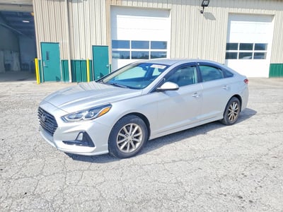 5NPE24AF8KH****** 2019 Hyundai Sonata