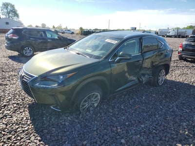 JTJDARBZ6M2****** 2021 Lexus NX