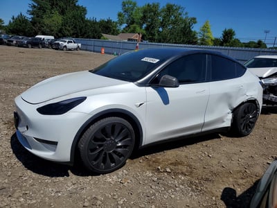 7SAYGDEF8PF****** 2023 Tesla Model Y