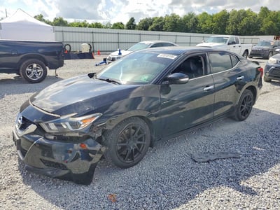 1N4AA6AP2GC****** 2016 Nissan Maxima