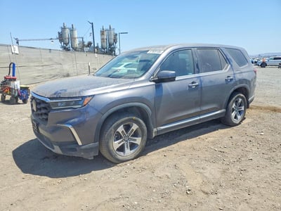 5FNYG2H53RB****** 2024 Honda Pilot