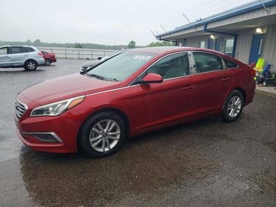 5NPE24AF7GH****** 2016 Hyundai Sonata