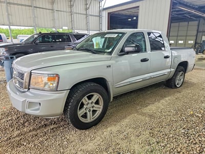 1D7RW5GP6BS****** 2011 Dodge Dakota