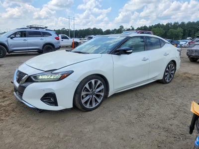 2023 Nissan Maxima