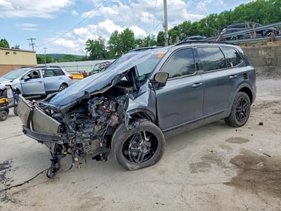 5XYP3DGC8RG****** 2024 Kia Telluride