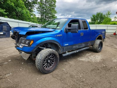 1FTFX1ET0DF****** 2013 Ford F-150