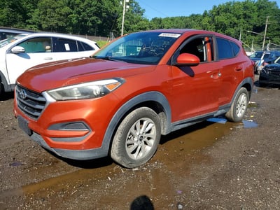 KM8J23A46HU****** 2017 Hyundai Tucson