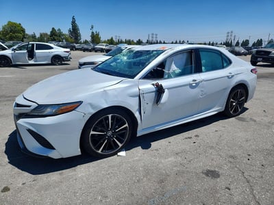 4T1B61HK8KU****** 2019 Toyota Camry