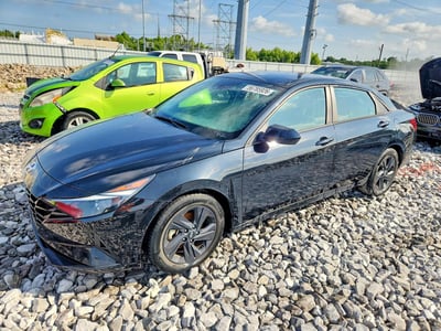 5NPLM4AG8PH****** 2023 Hyundai Elantra