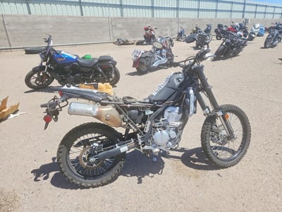 2024 Kawasaki KLX300