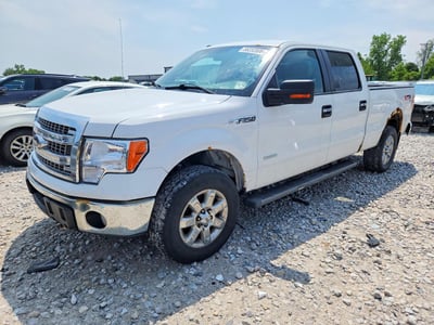 1FTFW1ET5DF****** 2013 Ford F-150