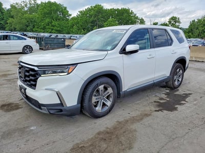 5FNYG1H41RB****** 2024 Honda Pilot