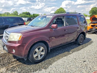 5FNYF4H50BB****** 2011 Honda Pilot