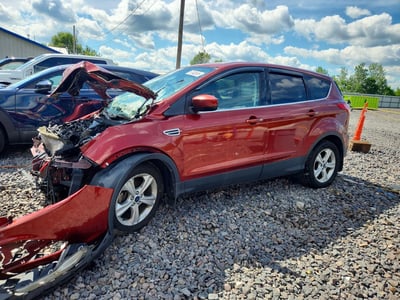 1FMCU0GX0EU****** 2014 Ford Escape