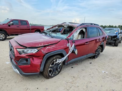 2T3J1RFV4KW****** 2019 Toyota RAV4