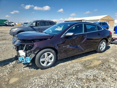 1G1ZC5ST4LF****** 2020 Chevrolet Malibu