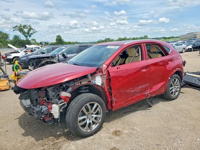 JTJBJRBZ1F2****** 2015 Lexus NX 300h