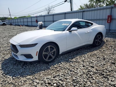 1FA6P8TH4S5****** 2025 Ford Mustang