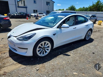 5YJ3E1EA9PF****** 2023 Tesla Model 3