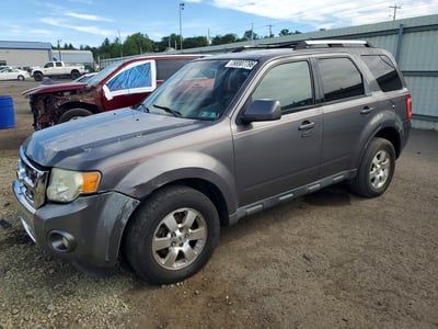 1FMCU0EG7AK****** 2010 Ford Escape