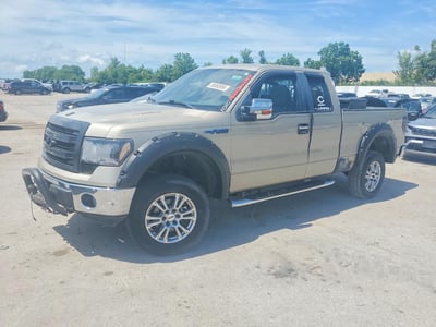 1FTPX14V19F****** 2009 Ford F-150